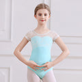 Chic Ballet Leotards for Girls' Practice and Performance childrensterritory