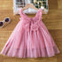Baby Girl Ruffle Lace Tutu Princess Dress for Wedding and Birthday childrensterritory