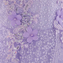 Baby Girl Lace Embroidered Formal Occasion Gowns childrensterritory