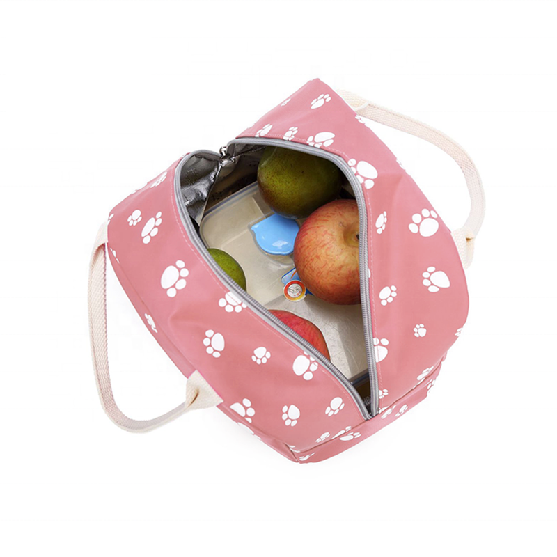 Paw-Printed 3-Piece Cute Waterproof Student Bag Set for Girls childrensterritory