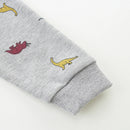 Dinosaurs Print Little Boys Zip-Up Cotton Hoodies childrensterritory