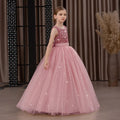 Kids Girls Puffy Sequin Embroidery Princess Party Dresses