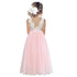 Kids Girls Lace Design Long Mesh Princess Dresses childrensterritory