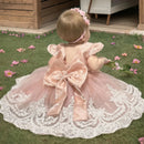 Girls Embroidery Bow Design Princess Dresses