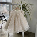 Little Girls' Short-Sleeved, Glittery, Vintage-Style Pageant Gown childrensterritory