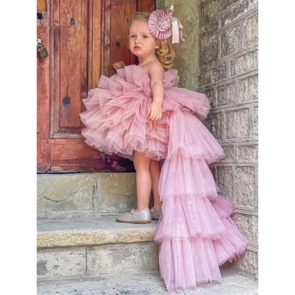 Sheer Neck Puffy Flower Girl Dress with Long Train for Birthday