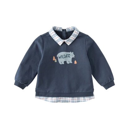 Little Boy’s Cartoon Design Casual Cotton Sweatshirt childrensterritory