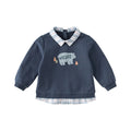 Little Boy’s Cartoon Design Casual Cotton Sweatshirt childrensterritory
