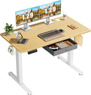 Adjustable Electric Standing Desk with Storage