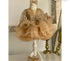 Sequined Tiered Tulle Luxury Wedding Party Dress for Girls childrensterritory