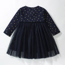 Little Girls Long Sleeves Hearts Design Mesh Dress childrensterritory