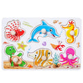 Kids Shape Matching Wooden Puzzle Educational Toys childrensterritory