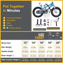 Freestyle Kids Sport Bicycle for Boys Girls childrensterritory