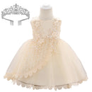 Baby Girl Lace Embroidered Formal Occasion Gowns childrensterritory