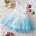Kids Girls Tutu Princess Dresses for Birthday Party childrensterritory