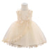 Baby Girl Lace Embroidered Formal Occasion Gowns childrensterritory