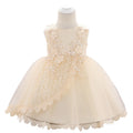 Baby Girl Lace Embroidered Formal Occasion Gowns childrensterritory