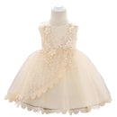 Baby Girl Lace Embroidered Formal Occasion Gowns childrensterritory