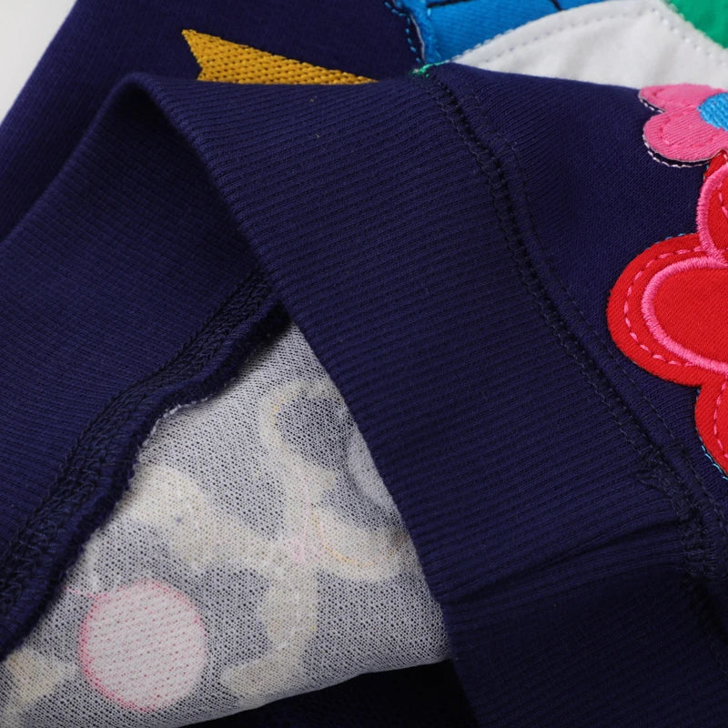 Girls Full Sleeves Flowers Embroidery Casual Sweatshirts childrensterritory
