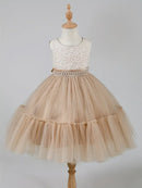 Little Girls Elegant Fluffy Princess Dress Set for Spring Autumn childrensterritory