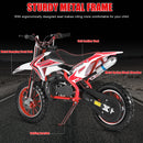 Off-road Mini Motorcycle for Kids with Front and Rear Disc Brakes childrensterritory