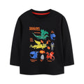 Cartoon DRAGONS Design Little Boys Long Sleeve T-shirts childrensterritory