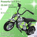250W Off-Road Kids Electric Dirt Bike for Kids with 13.67MPH Speed childrensterritory