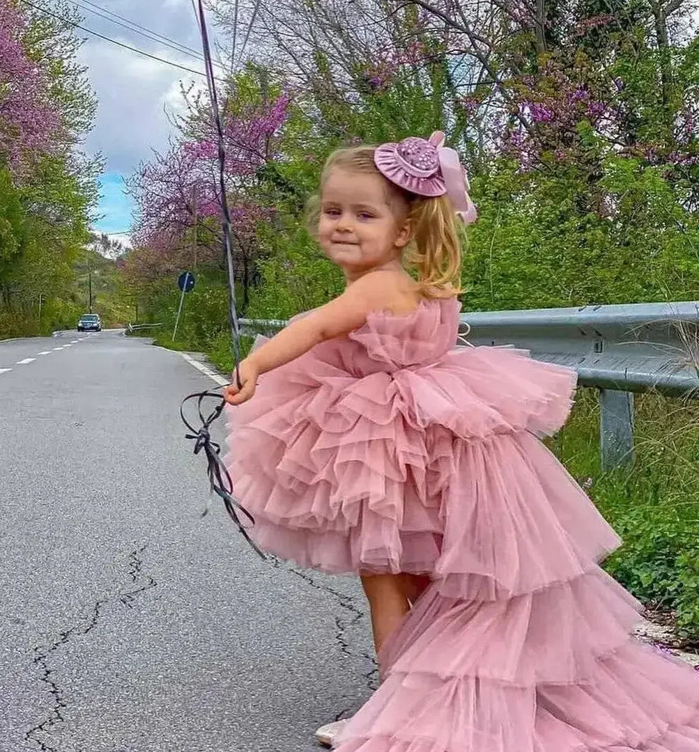 Sheer Neck Puffy Flower Girl Dress with Long Train for Birthday