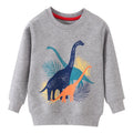 Little Boys Cotton Various Pattern Sweatshirts childrensterritory