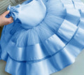 Baby/Kids Girls Birthday Outfit/Tutu Christening Dress