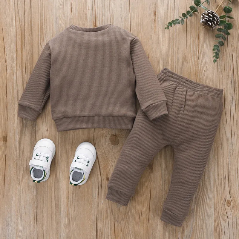 Toddler Boys Embroidered Bear Patch Casual Clothes Set childrensterritory