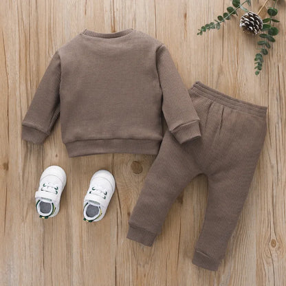 Toddler Boys Embroidered Bear Patch Casual Clothes Set childrensterritory
