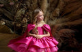 Big Bow Design Flower Girl Dresses with Cape for Birthday/Communion childrensterritory