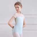 Chic Ballet Leotards for Girls' Practice and Performance childrensterritory