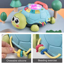 Montessori Musical Turtle Toy With Lights For Baby childrensterritory