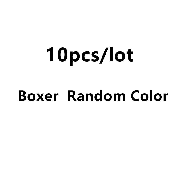 10PC Soft Cotton Cartoon Print Breathable Briefs for Girls childrensterritory