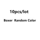 10PC Soft Cotton Cartoon Print Breathable Briefs for Girls childrensterritory