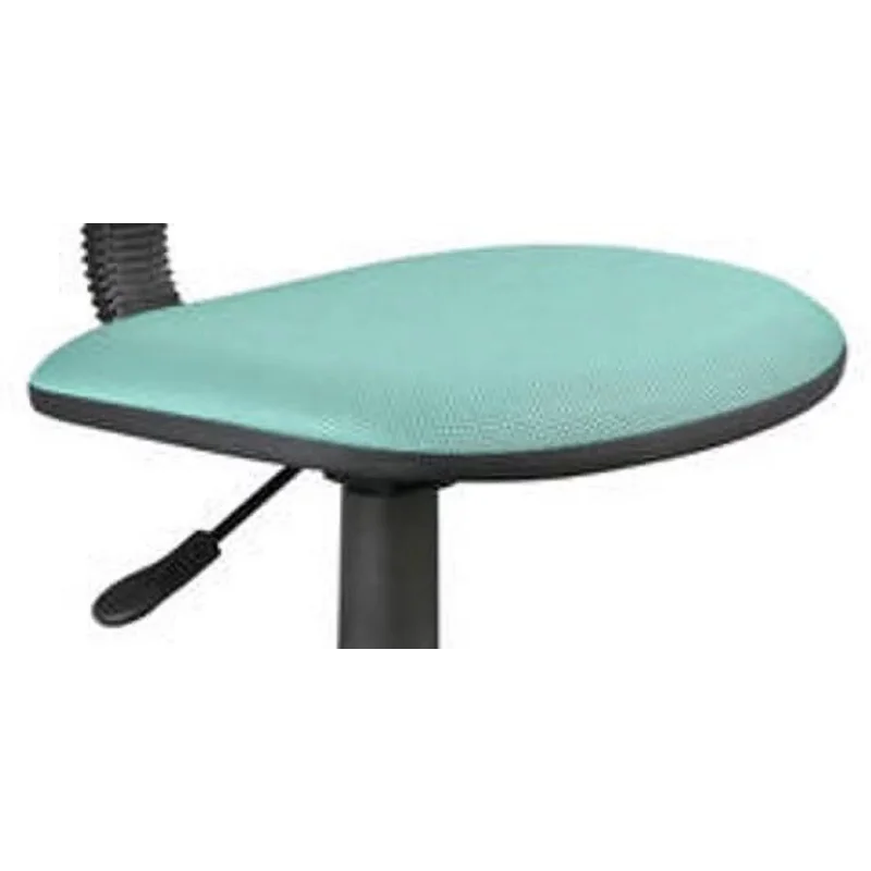 Task Chair with 225 lb. Capacity, Swivel, and Height Adjustable childrensterritory