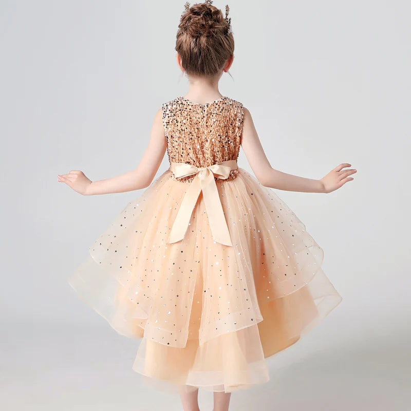 Sequin Lace Design Girls Fluffy Wedding/Party Dresses childrensterritory