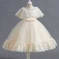 Girls' Mesh Lace Design Princess Party Dresses for Summer childrensterritory