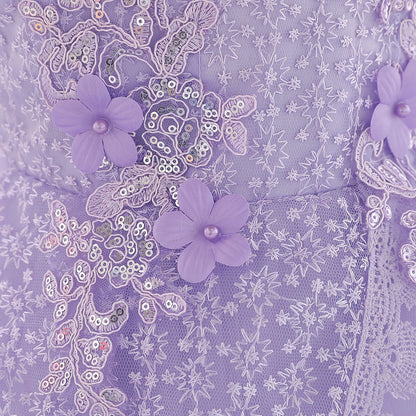 Baby Girl Lace Embroidered Formal Occasion Gowns