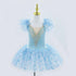 Modern Sequined Flower Tutu Ballet Dresses For Girls childrensterritory