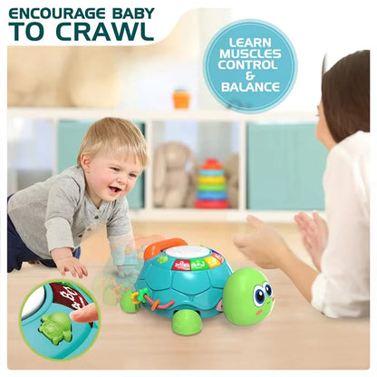 Montessori Musical Turtle Toy With Lights For Baby