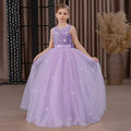 Kids Girls Puffy Sequin Embroidery Princess Party Dresses