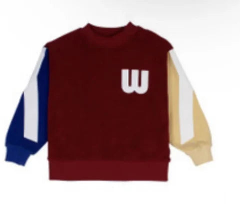 Kids Designer Warm Sweaters and Pants Clothing Sets childrensterritory