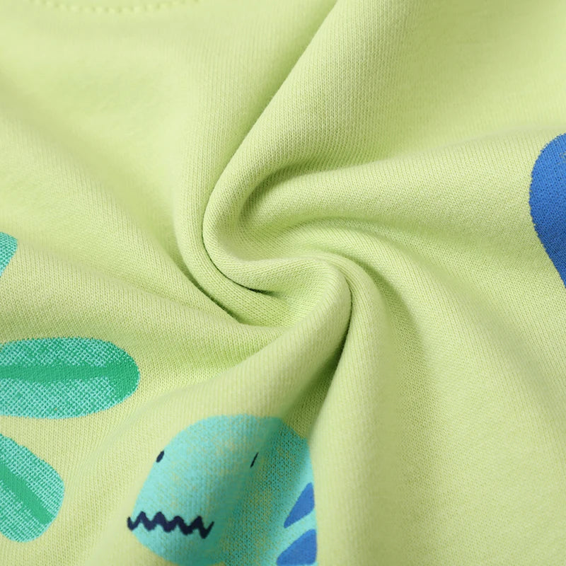 Cartoon Dinosaurs Print Sweatshirts For Boys childrensterritory