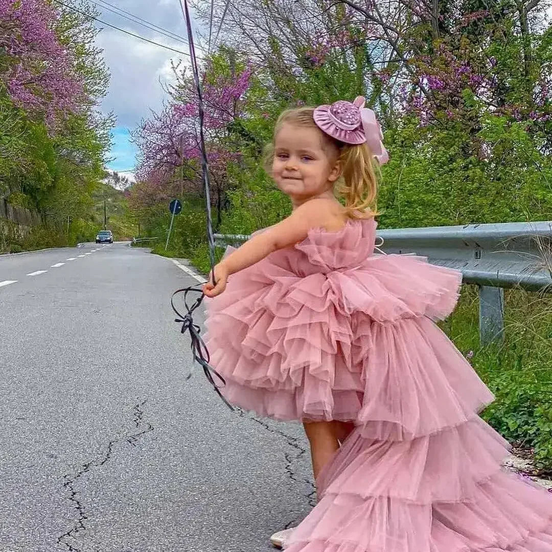 Sheer Neck Puffy Flower Girl Dress with Long Train for Birthday