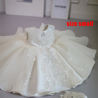 Little Girl Lace Embroidery Puffy Princess Party Dresses