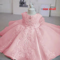 Little Girl Lace Embroidery Puffy Princess Party Dresses