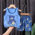 2PCS Cotton T-Shirts and Shorts Set for Toddler Boys Girls childrensterritory